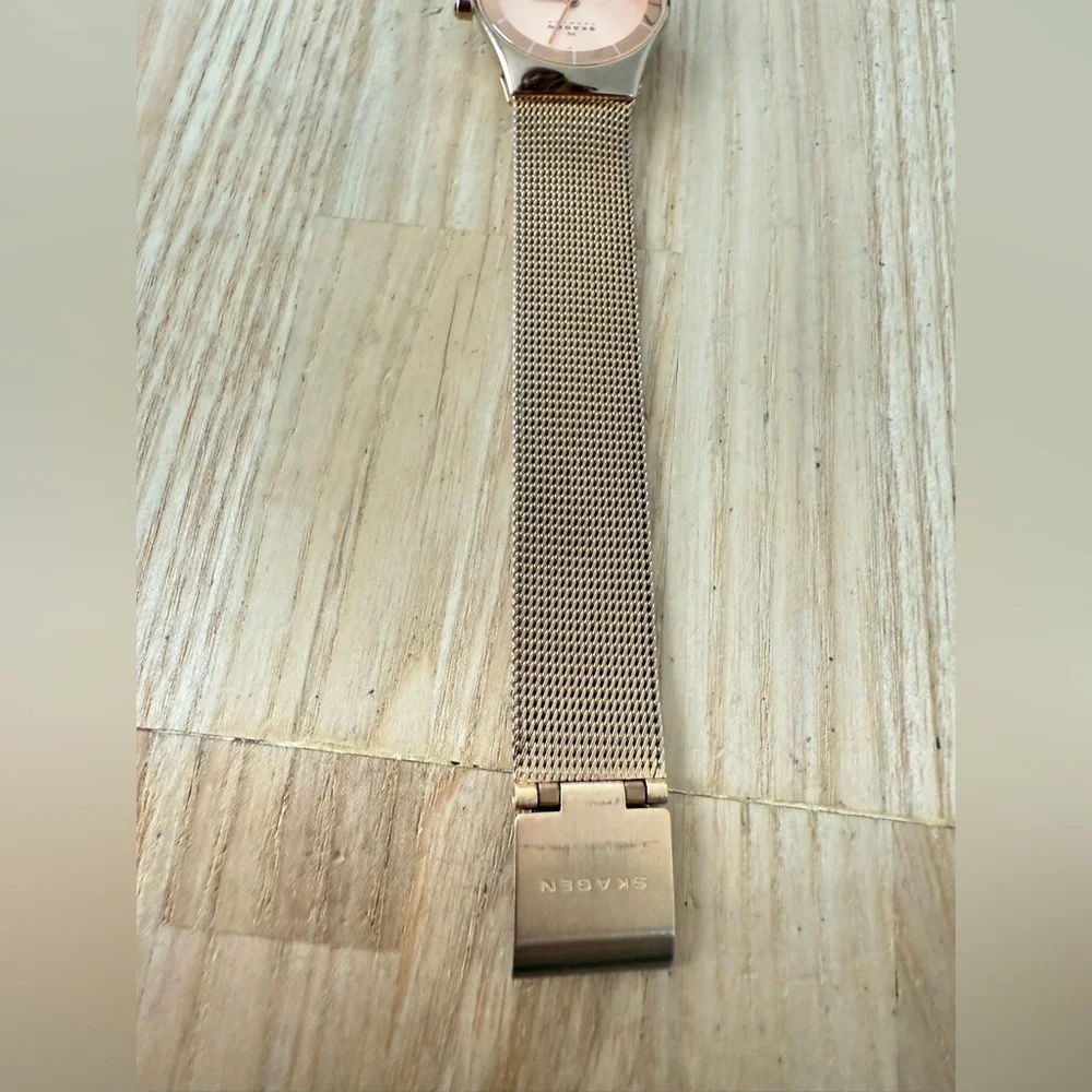 Skagen brand model